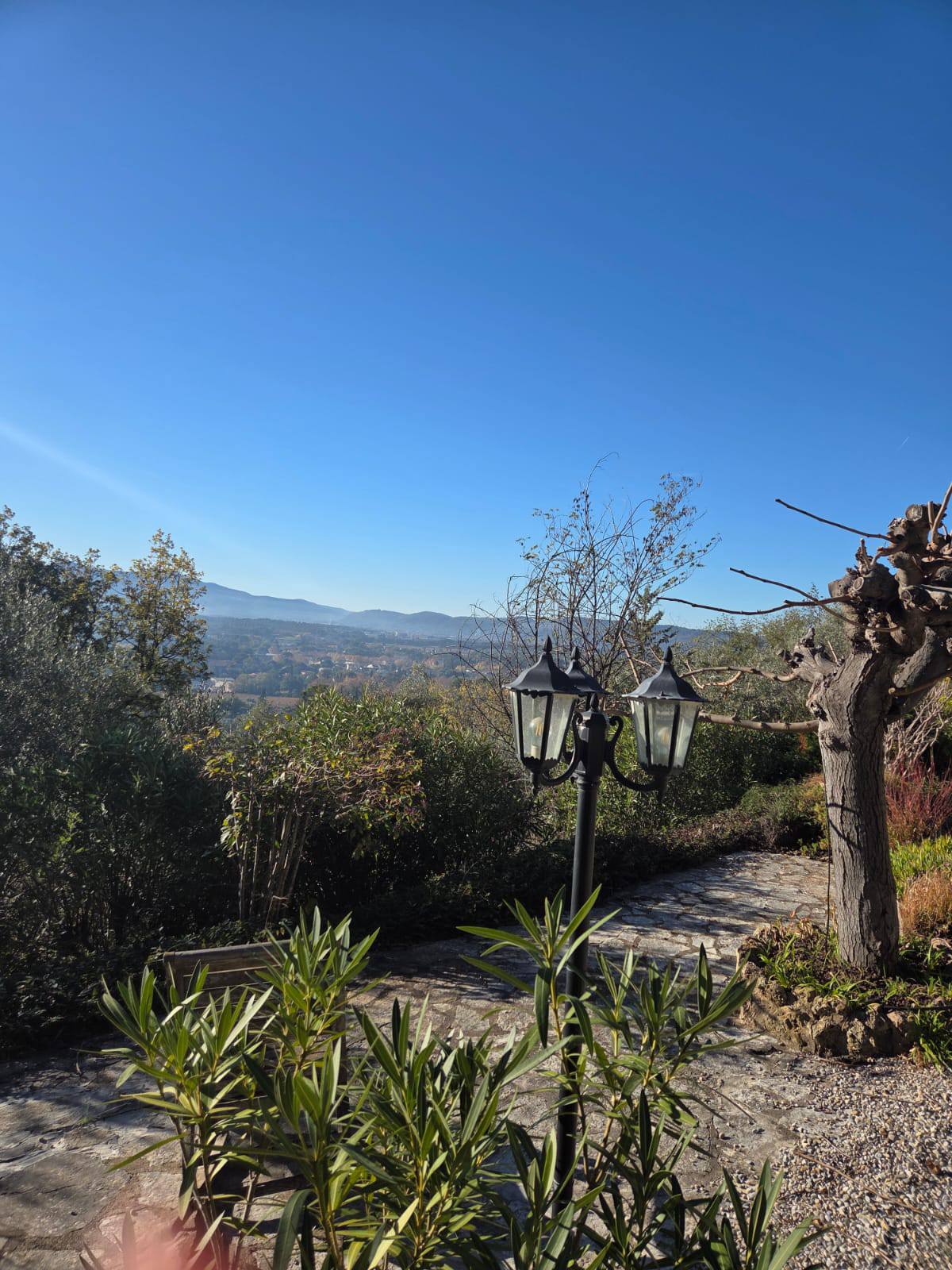 590612789_122231298098731155_8510741021342654549_n