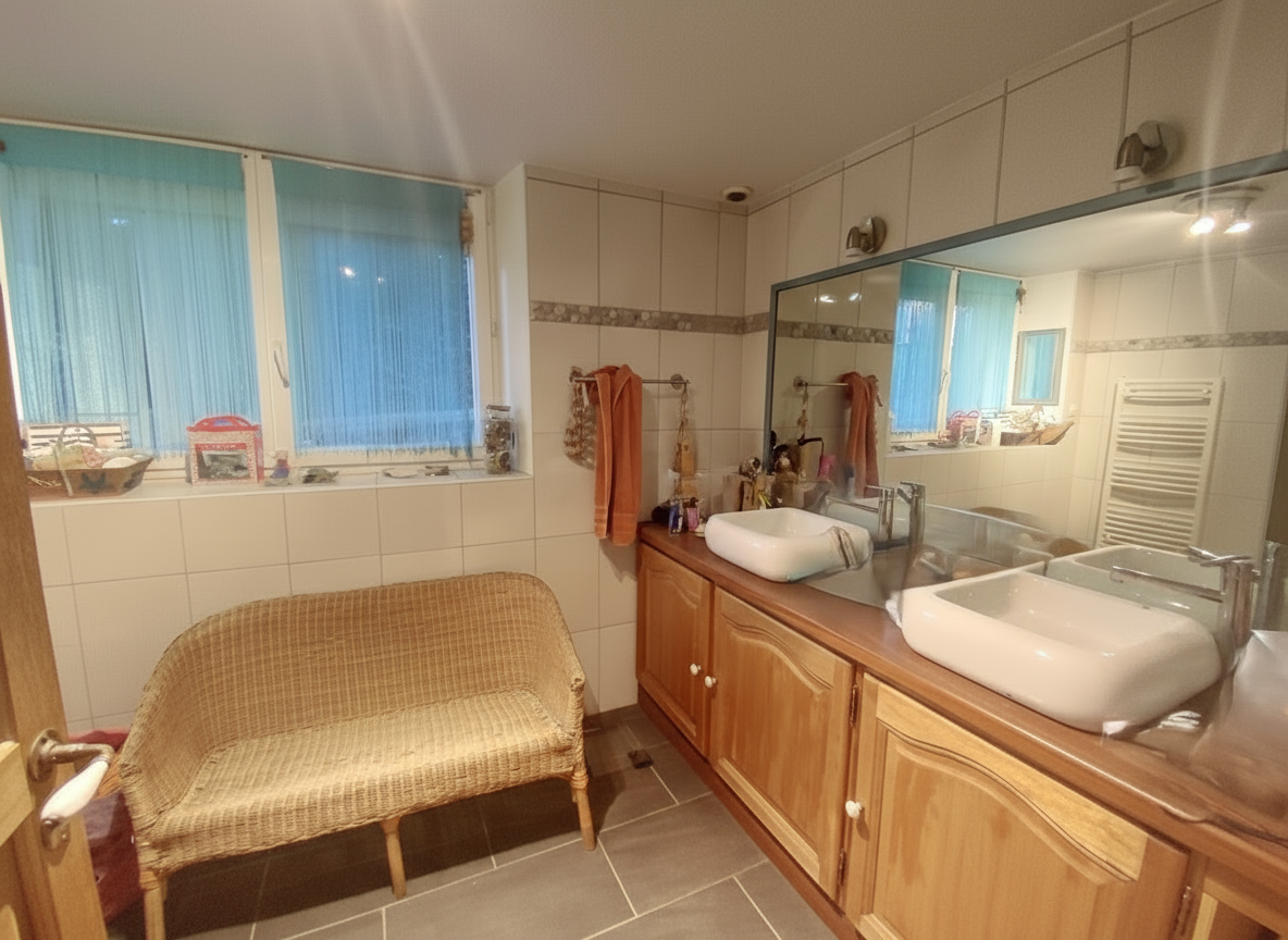 SALLE D’EAU EN BAS OK