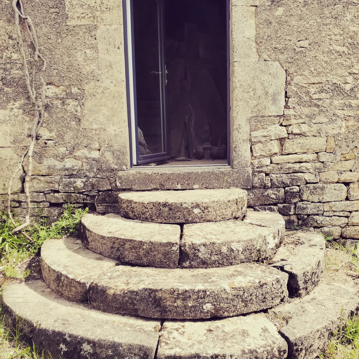 inbound1722102013392786638