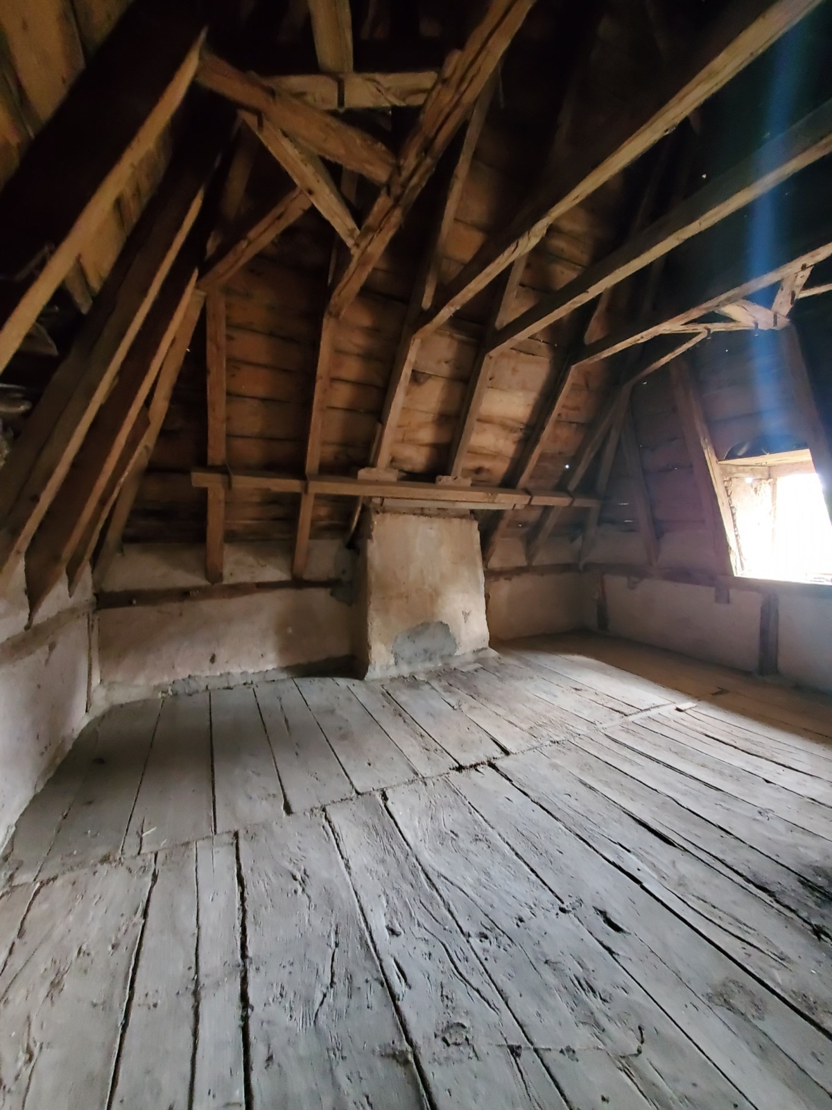 inbound3632982311826274255