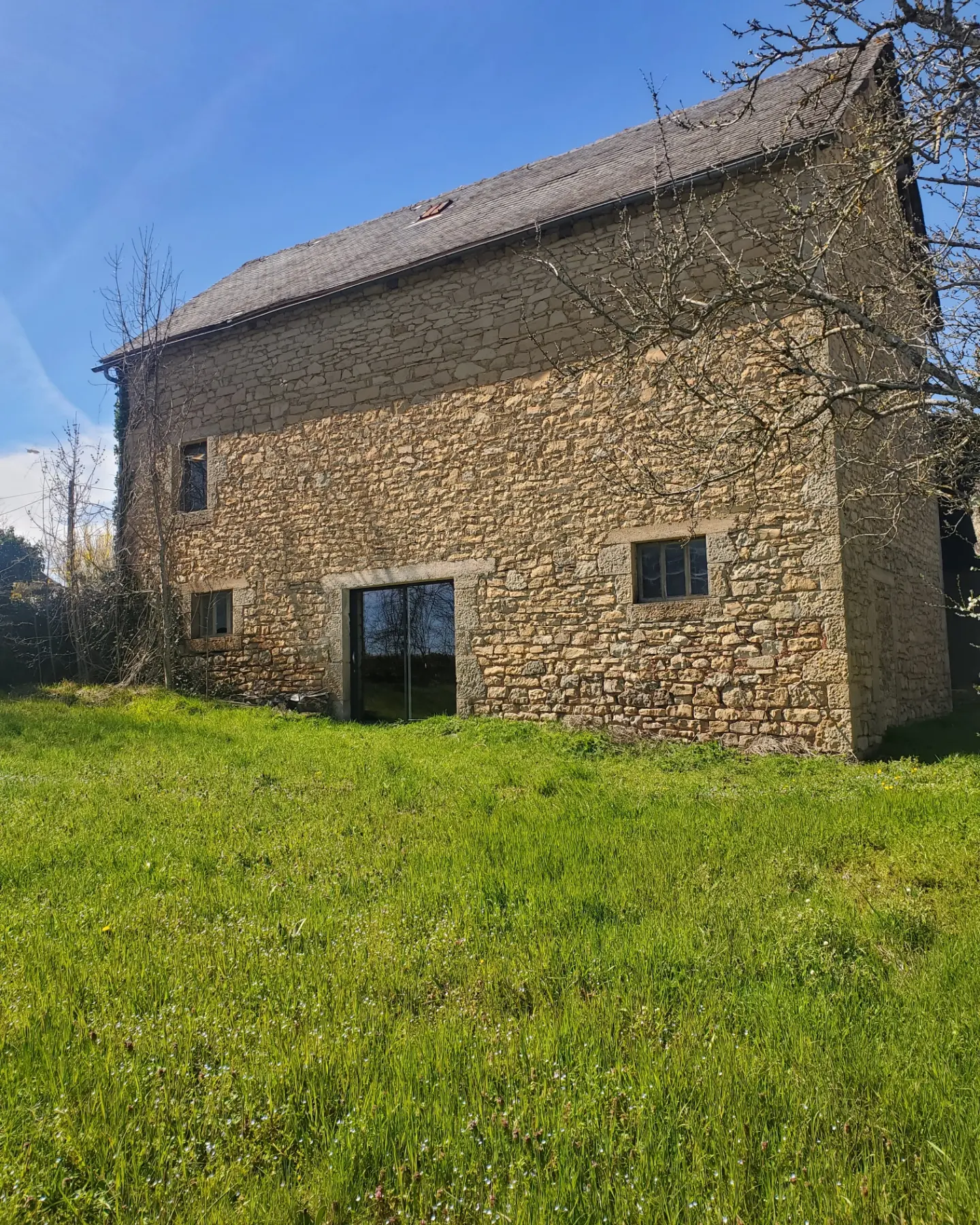 inbound5138245279469565936