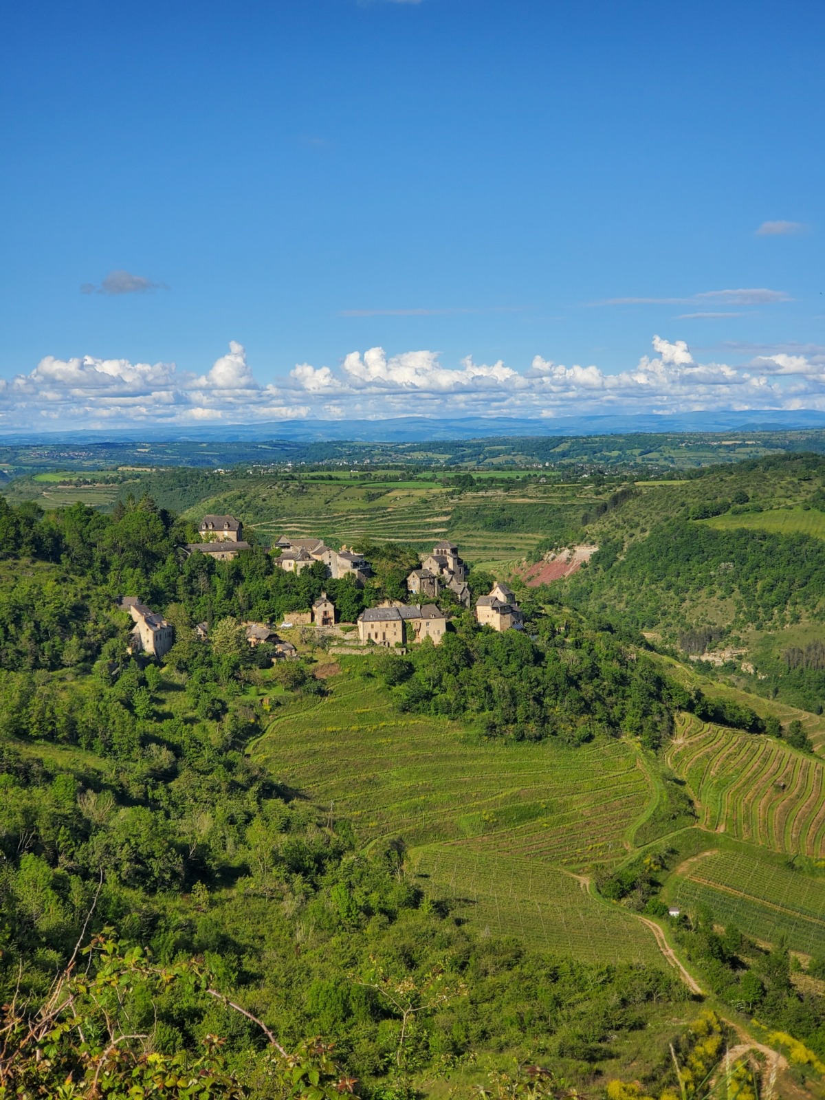 inbound5842721414915046075