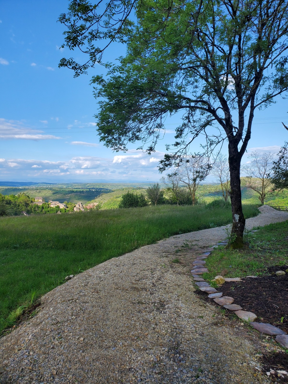 inbound6613457337884747389