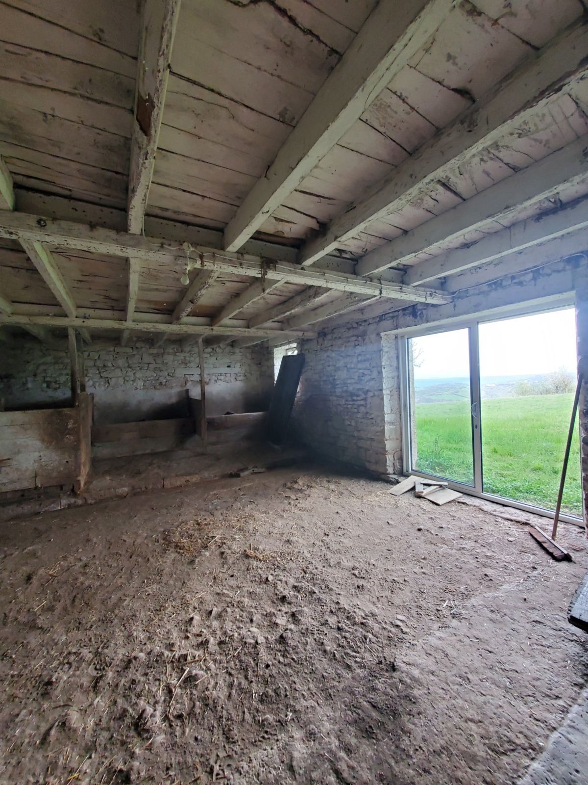 inbound7776631176506977152