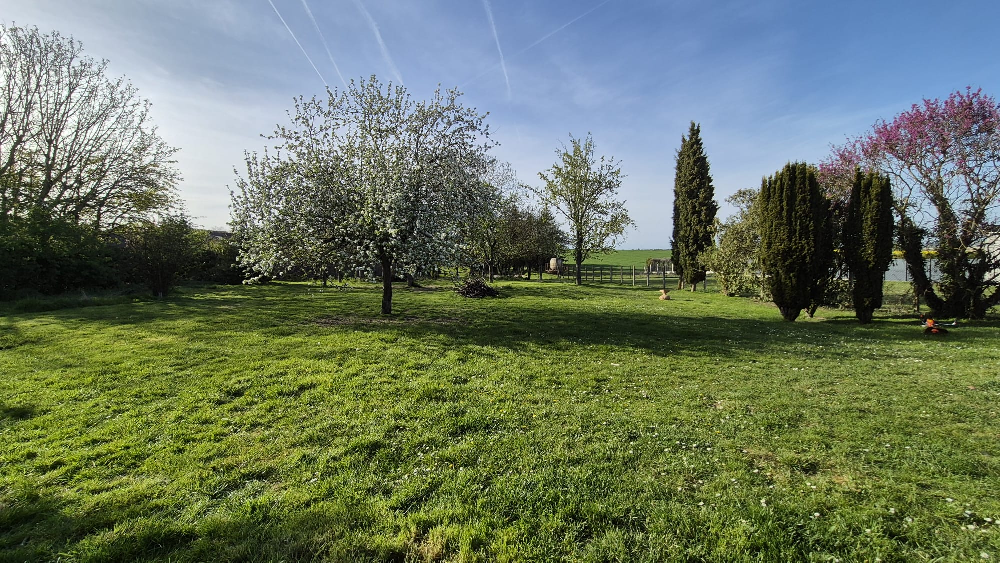 WhatsApp Image 2026-04-09 at 19.31.32 (1)