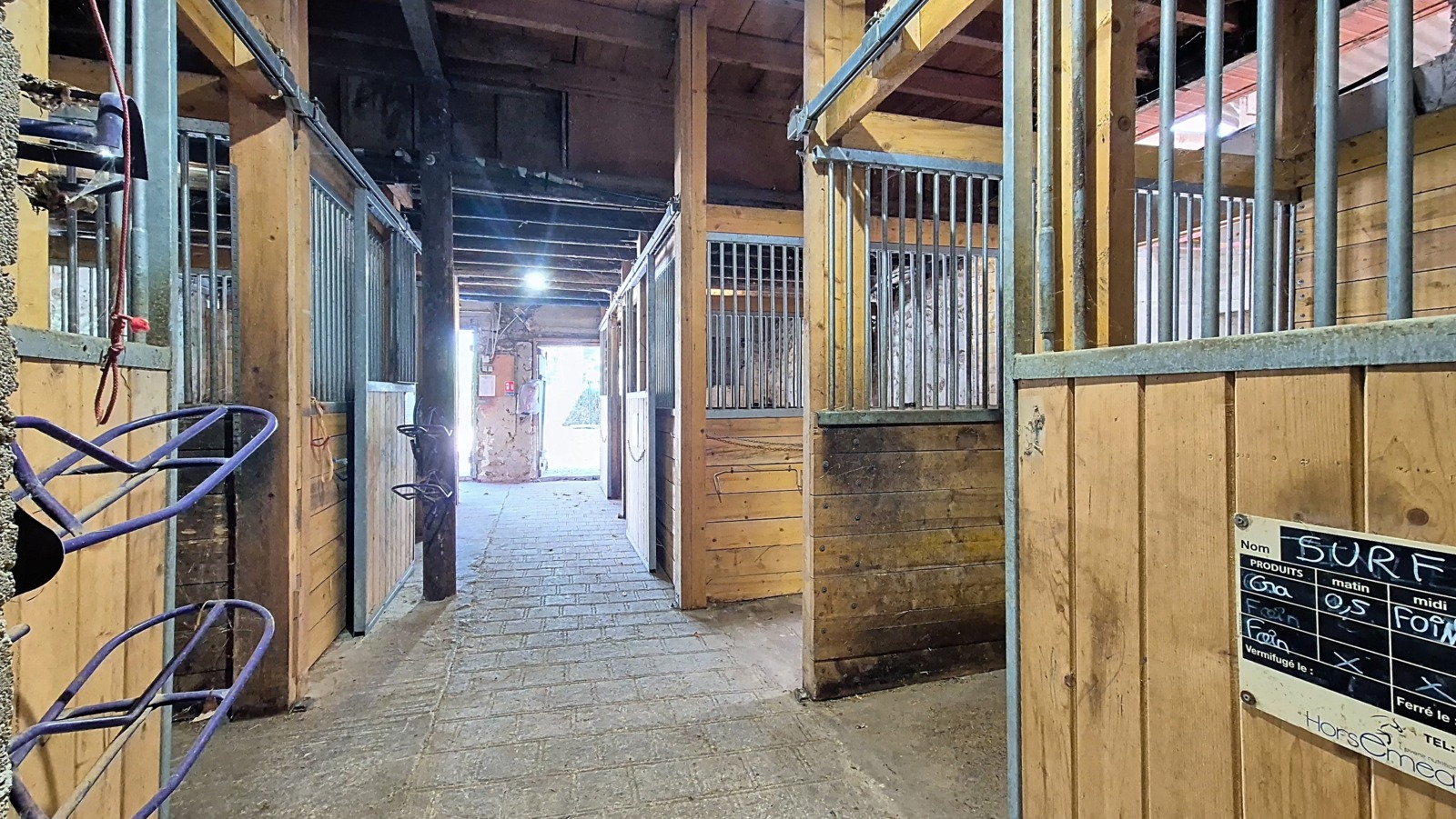 mr-et-mme-lera_00005_1ec0637