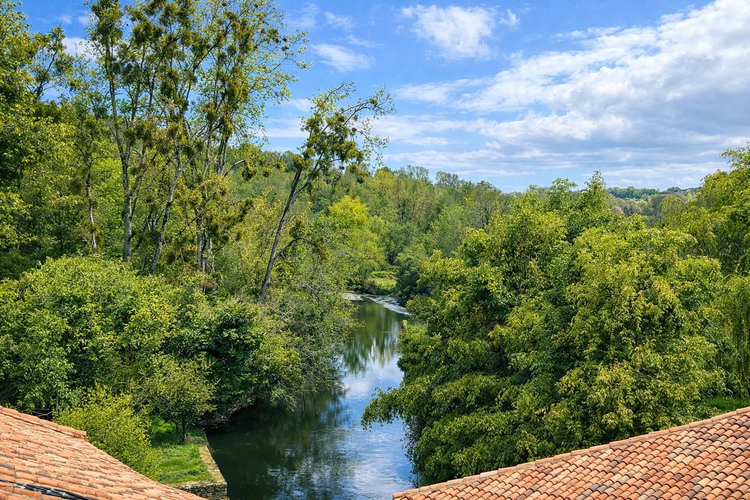 Propriété de charme à vendre à Voulême