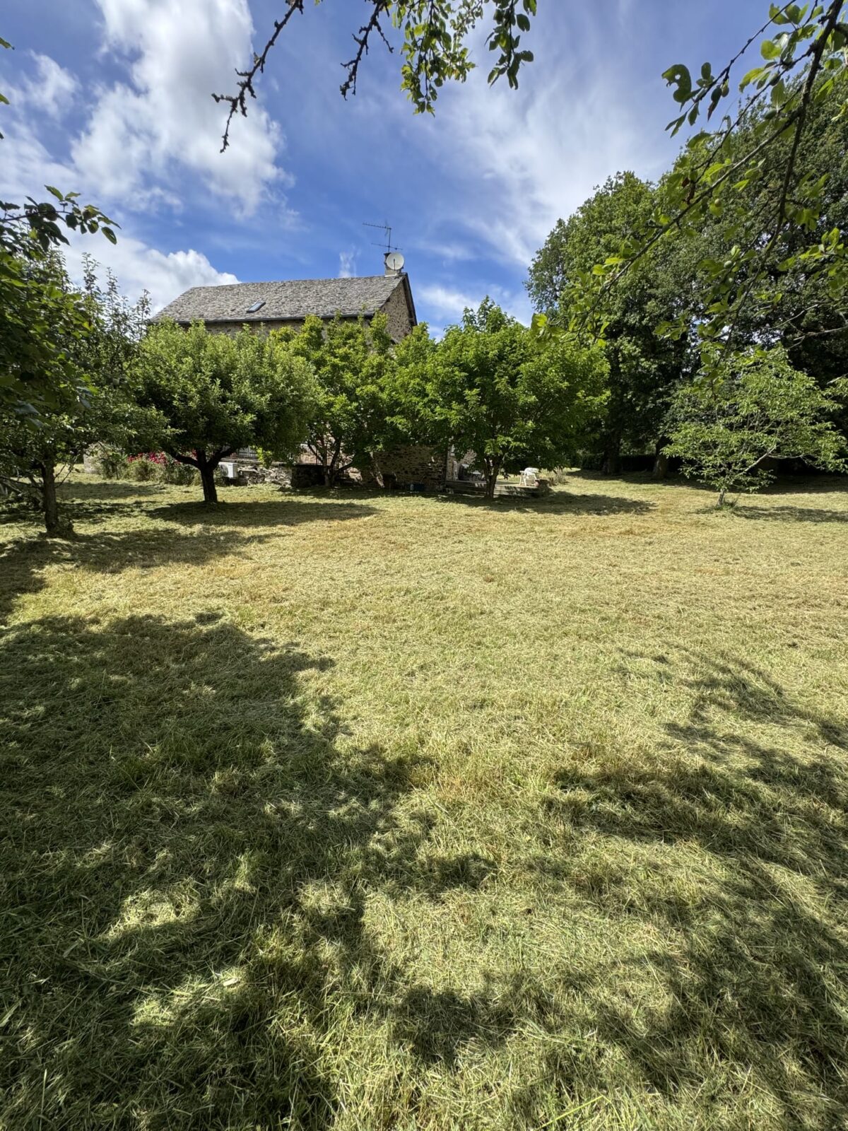 Belle maison en pierre avec sa grange et son terrain arboré