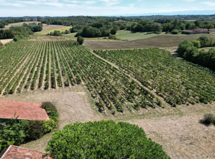 Une Rare Opportunité au Cœur de la Gascogne – Maison de maître à AIGNAN