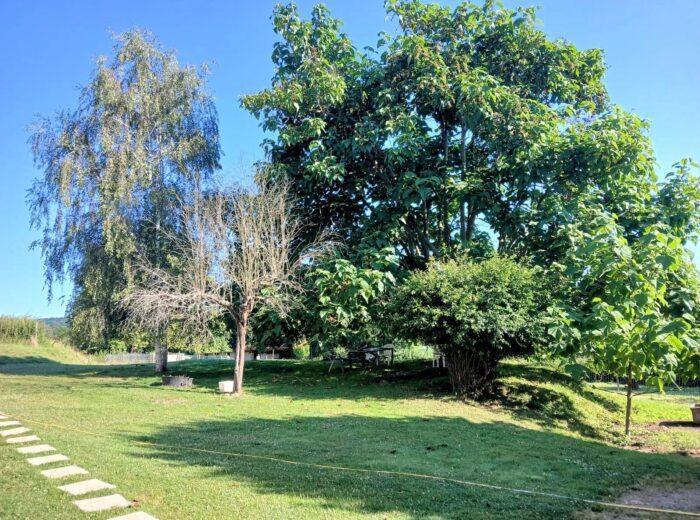 Fermette comprenant 4 chambres sur 6,35ha avec dépendances – Maison ancienne à Vic-en-Bigorre