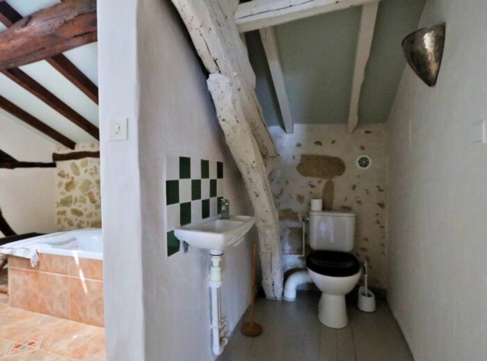 Une charmante ferme gasconne avec une vue imprenable sur les Pyrénées. – Maison ancienne à Laveraët