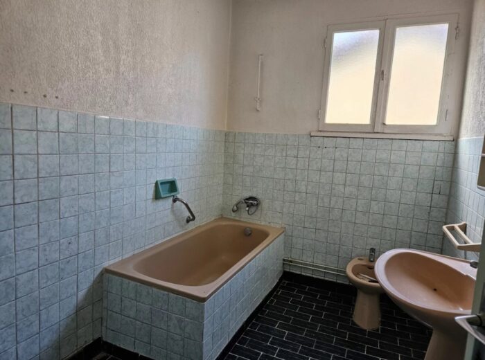 Ferme moderne avec une seconde maison à rénover – Maison à rénover à Viella