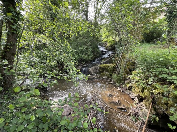 Domaine privé dans le Sud Morvan – Domaine et propriété à Chiddes