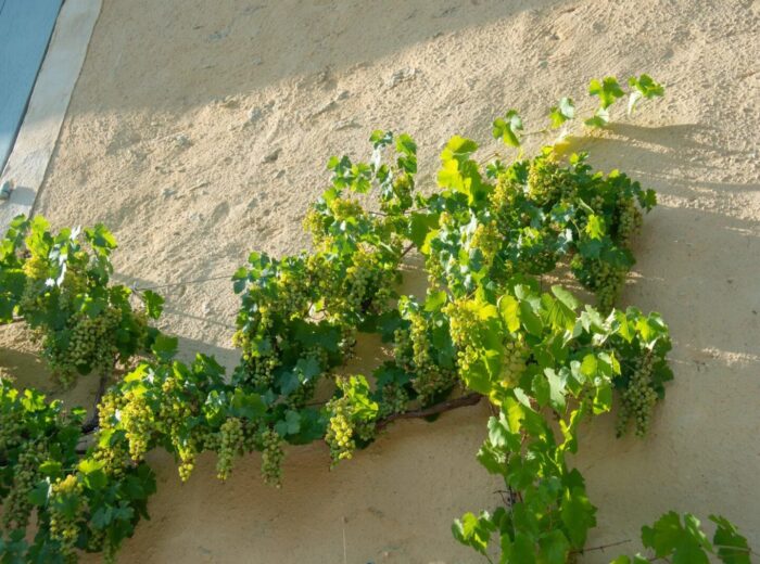 Une charmante ferme gasconne avec une vue imprenable sur les Pyrénées. – Maison ancienne à Laveraët