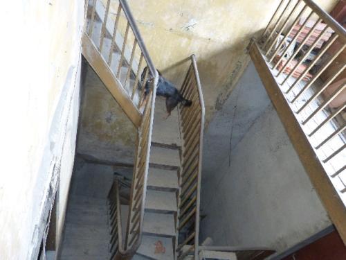 À vendre, Trie sur Baise (Hautes Pyrénées): Maison de village, avec 2… – Maison à rénover à TRIE-SUR-BAISE