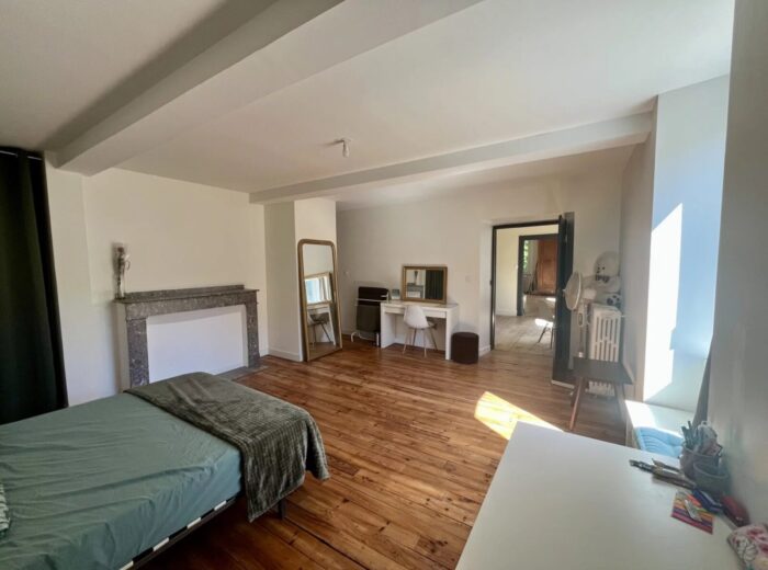 Belle maison de caractère rénovée, 4 chambres, dépendances, 1,7ha de… – Maison de caractère à Maubourguet