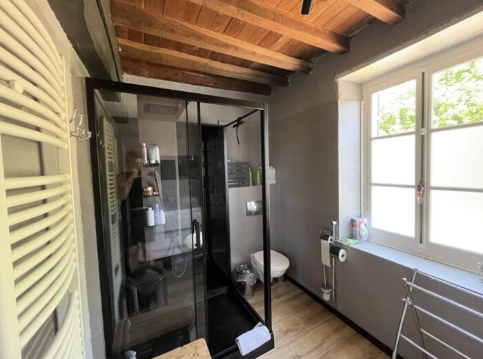 Ensemble immobilier avec gîte indépendant. piscine et vue dégagée –… – Maison ancienne à Saint-Péreuse