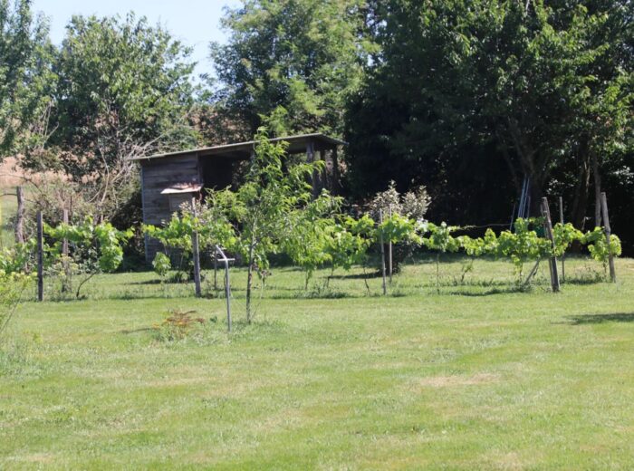 Elegant Maison de Maître, avec piscine et belle dependences – Maison de maître à Estampes