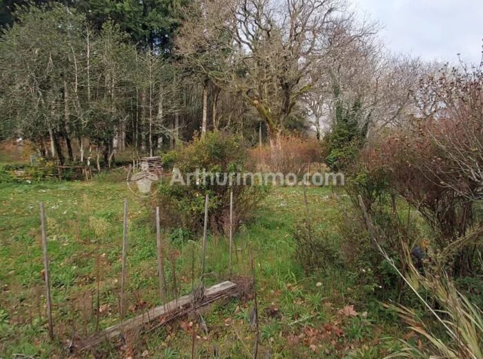 Maison de campagne dans la Montagne Noire – Maison ancienne à Les Martys