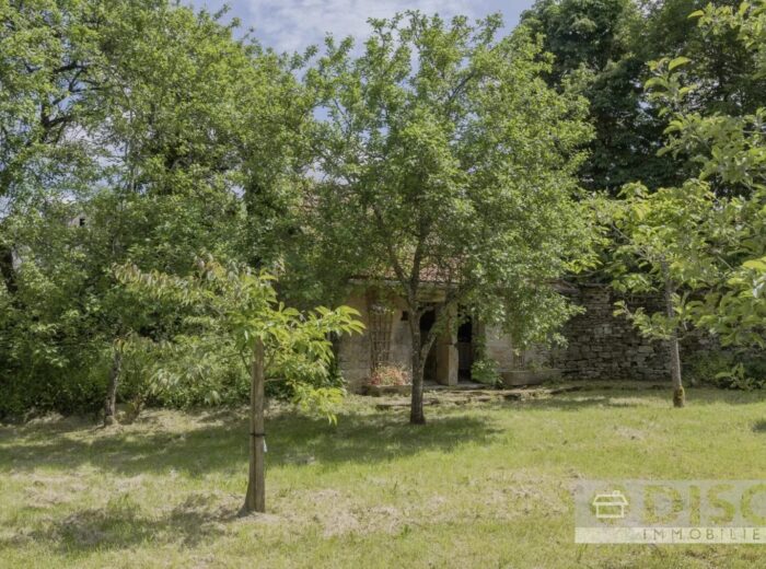 Magnifique propriété composé de quatre gîtes autour d&rsquo;une cour… – Corps de ferme à Castanet
