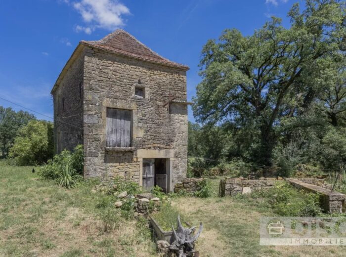 Charmant ensemble avec petite maison et dépendances. – Maison ancienne à Puylagarde