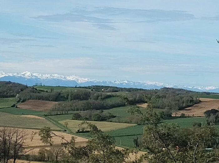 Maison Gascon avec vue panoramique sur les Pyrénées – Château à Laveraët