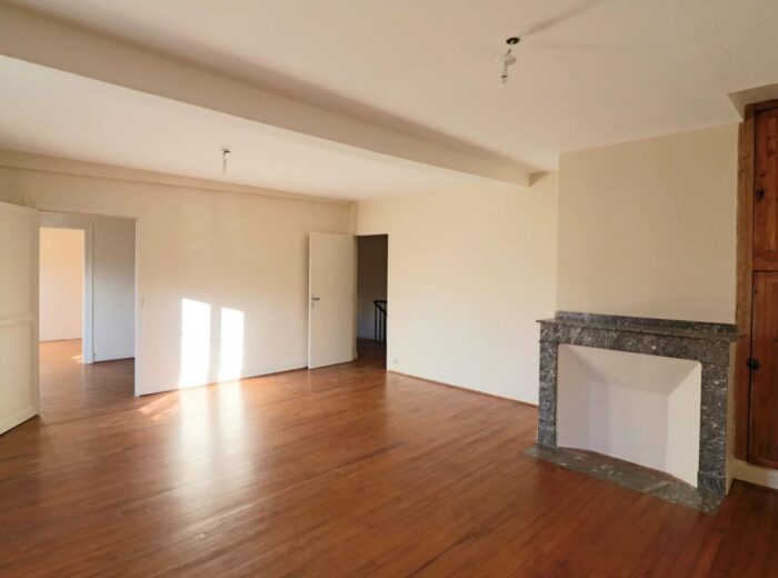 Maison comprenant 5 chambres sur 1860m² avec grandes dépendances – Maison ancienne à Maubourguet