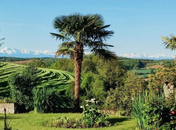 Maison Gascon avec vue panoramique sur les Pyrénées – Château à Laveraët