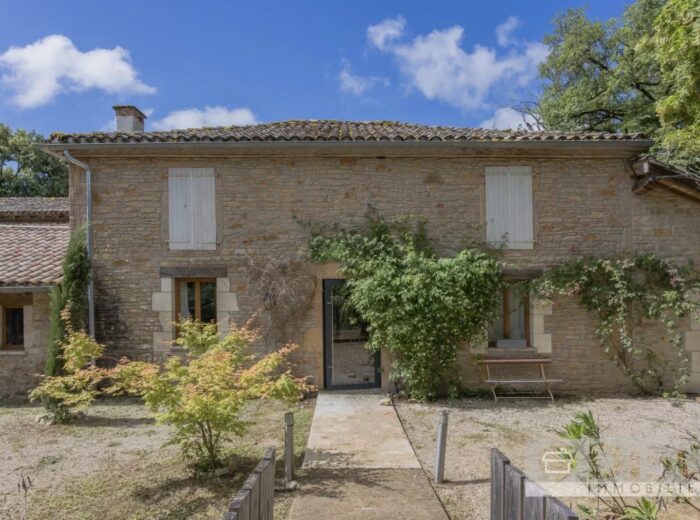 Grande propriété rénovée avec spacieuse maison principale, gîte… – Domaine et propriété à Saint-Antonin-Noble-Val