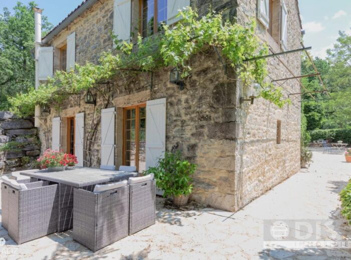 Belle maison avec dépendance, jardin et piscine – Maison ancienne à Verfeil