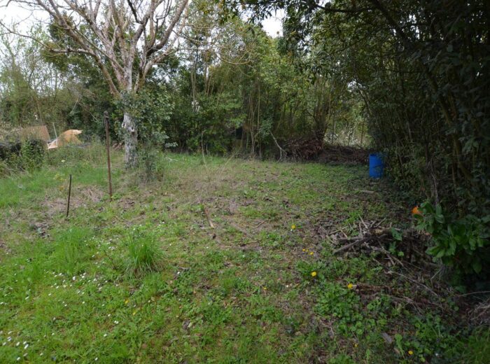 À vendre sur Vic-Fezensac, Gers: Maison à rénover entièrement (sauf… – Maison à rénover à Vic-Fezensac