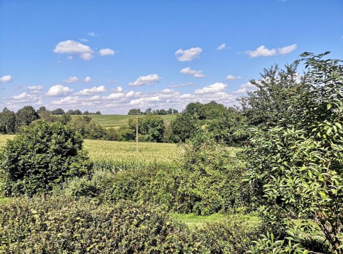 A vendre, secteur d&rsquo;Aignan, Gers: Une très belle occasion pour… – Maison ancienne à AIGNAN