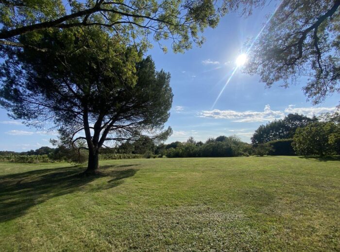 A vendre, secteur d&rsquo;Aignan, Gers: Une très belle occasion pour… – Maison ancienne à AIGNAN