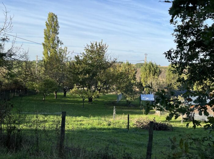 Prix en baisse ! A vendre, Gers, proche Castéra-Verduzan: Tout un… – Maison ancienne à CASTERA-VERDUZAN
