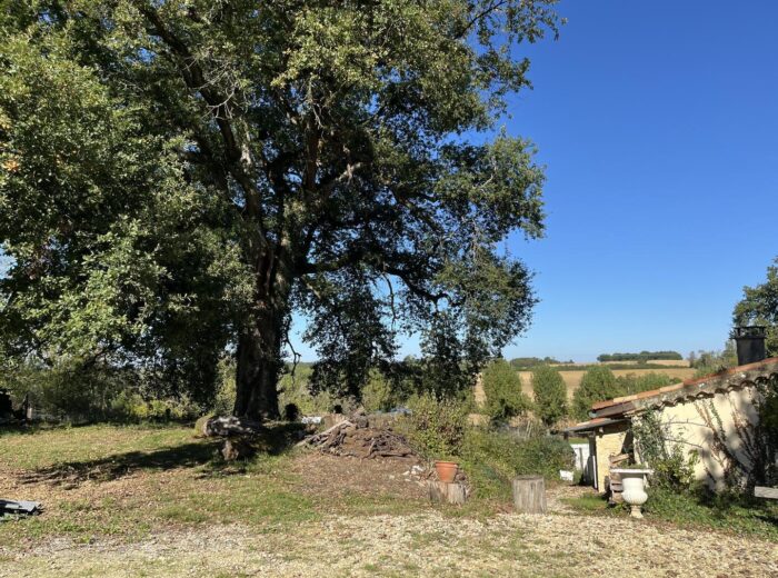 Prix en baisse ! A vendre, Gers, proche Castéra-Verduzan: Tout un… – Maison ancienne à CASTERA-VERDUZAN