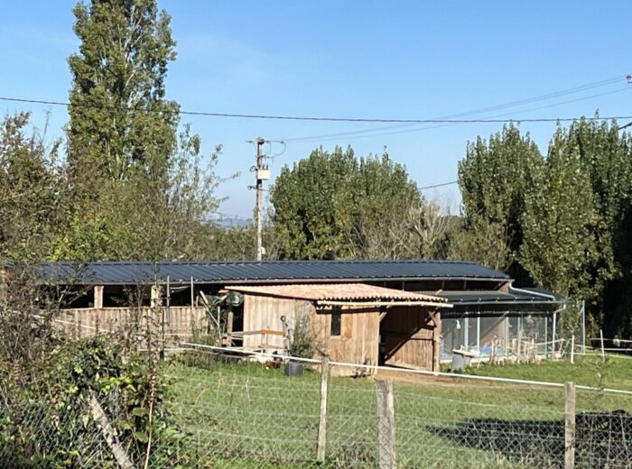 Prix en baisse ! A vendre, Gers, proche Castéra-Verduzan: Tout un… – Maison ancienne à CASTERA-VERDUZAN