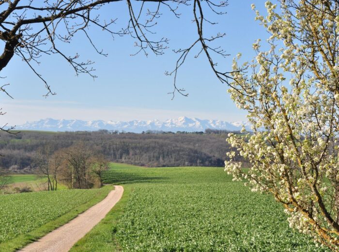 A vendre secteur d&rsquo;Auch: Sur une crête, maison gasconne avec… – Maison ancienne à BARRAN