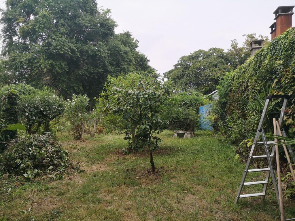 Prix en baisse! A vendre, maison de village dans le Gers : Spacieuse… – Maison ancienne à Plaisance