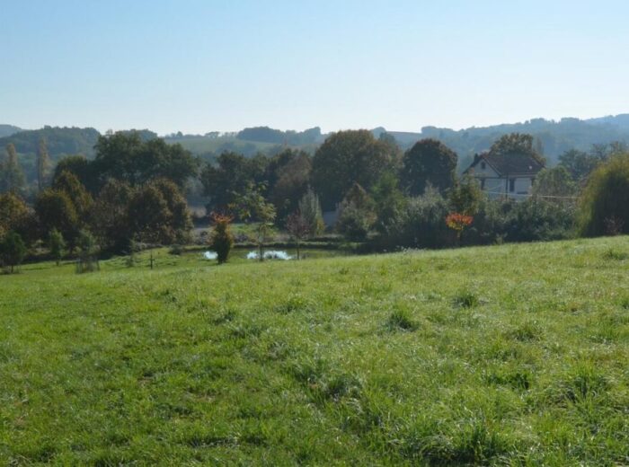 A vendre, Gers : Belle maison gasconne sur terrain avec prairies de… – Maison ancienne à Vic-Fezensac
