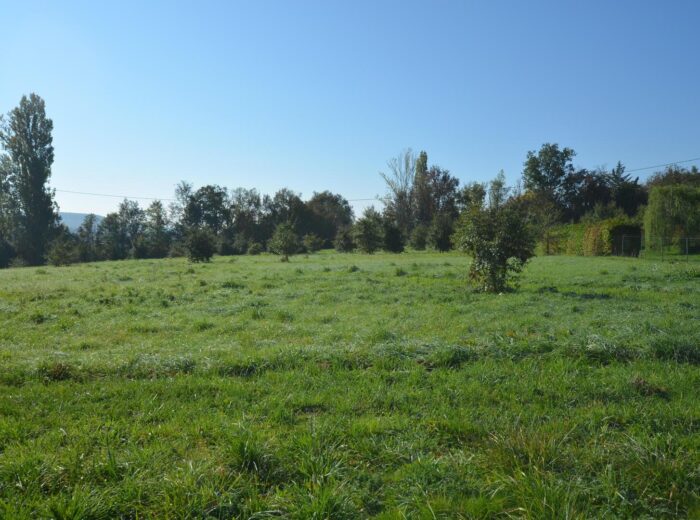 A vendre, Gers : Belle maison gasconne sur terrain avec prairies de… – Maison ancienne à Vic-Fezensac