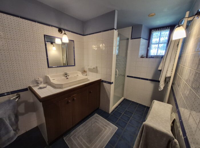 À vendre, proche Castelnau Magnoac (Hautes-Pyrénées): Belle maison… – Maison ancienne à CASTELNAU MAGNOAC