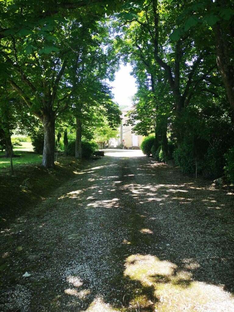 Superbe propriété à vendre en exclusivité près de Jégun, Gers… – Maison de maître à Jégun