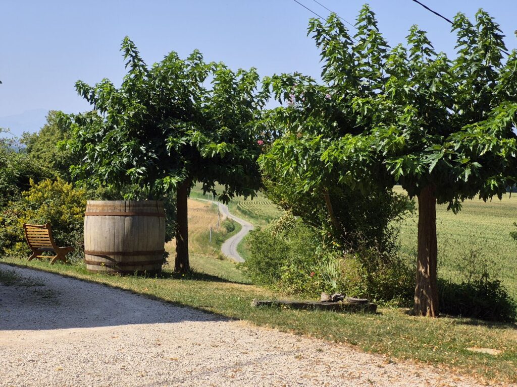 À vendre dans le Gers, proche de Castelnau-Magnoac: Maison gasconne… – Maison ancienne à PONSAN SOUBIRAN