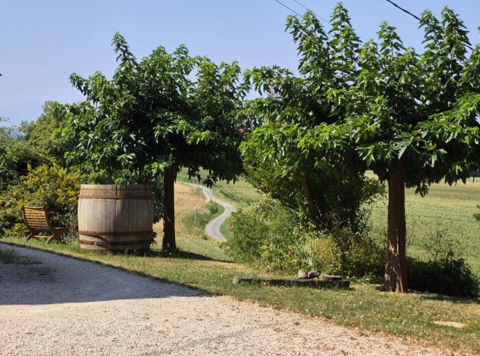 À vendre dans le Gers, proche de Castelnau-Magnoac: Maison gasconne… – Maison ancienne à PONSAN SOUBIRAN