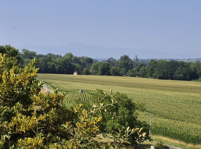 À vendre dans le Gers, proche de Castelnau-Magnoac: Maison gasconne… – Maison ancienne à PONSAN SOUBIRAN