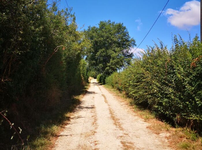 TRÈS RARE – Aux abords de la ville de Vic-Fezensac (2kms par un… – Maison ancienne à Vic-Fezensac