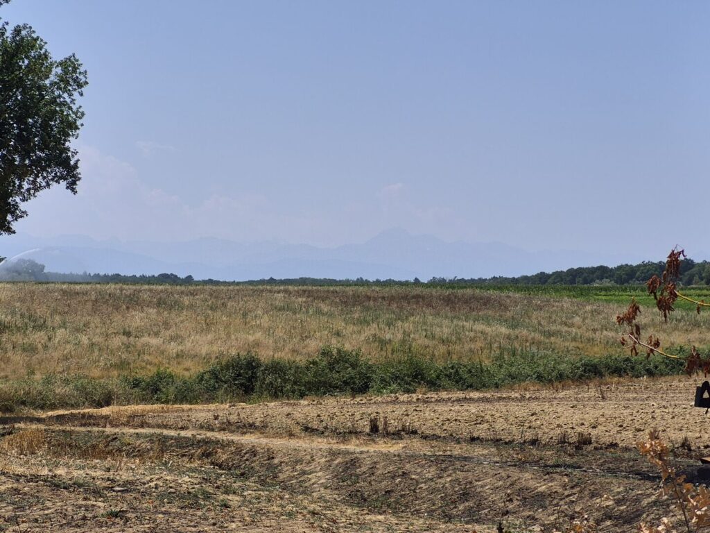 À vendre, proche Trie-sur-Baïse (Hautes-Pyrénées): maison gasconne… – Corps de ferme à CUELAS