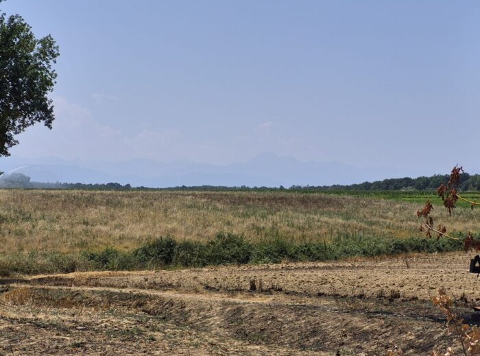 À vendre, proche Trie-sur-Baïse (Hautes-Pyrénées): maison gasconne… – Corps de ferme à CUELAS
