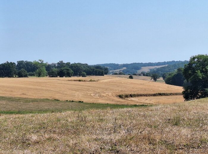 Propriété rurale exceptionnelle à vendre en exclusivité dans les… – Corps de ferme à Thermes Magnoac