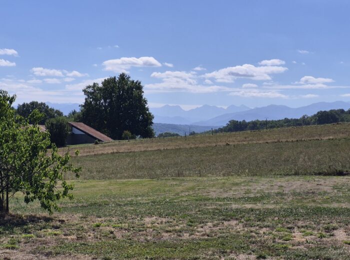 À vendre, proche de Trie-sur-Baïse (Hautes-Pyrénées): maison gasconne… – Maison ancienne à BONNEFONT